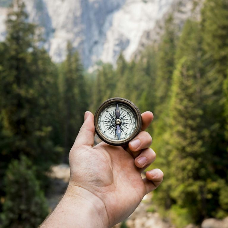 Jeder Coaching Prozess benötigt einen Kompass- deiner wird dein Herz sein.